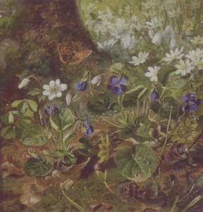 Blomstrende Skovbund Med Sommerfugl