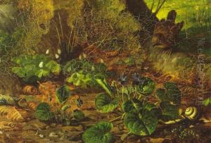 Skovbund Med Fugl, Sneglehus Og Blomster