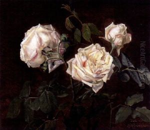 Stilleben Med Vita Rosor Stilleben Med Vita Rosor