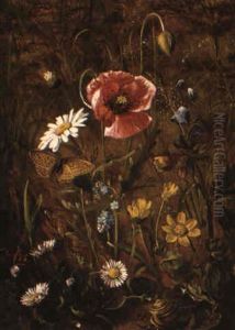 Study Of A Poppy In The Wild by Olaf August Hermansen