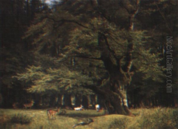 The Deer Park - view 1