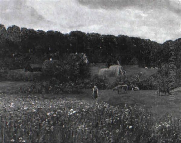 Sommerwiese - view 1