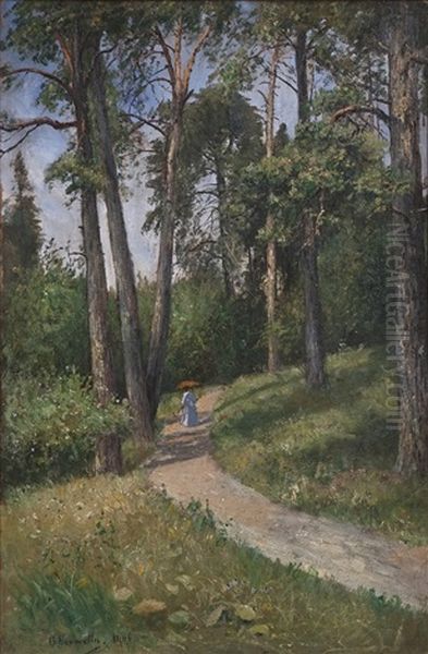 Skogsstig Med Promenerande Dam Med Parasoll - view 1
