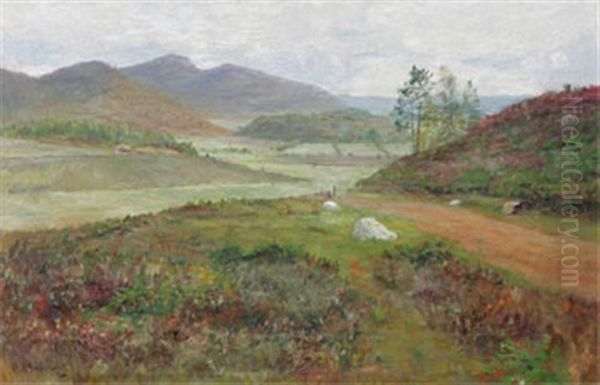 Kungsberget - view 1