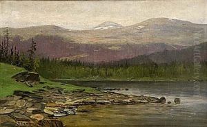 Norrlandskt Fjallandskap by Olof Hermelin