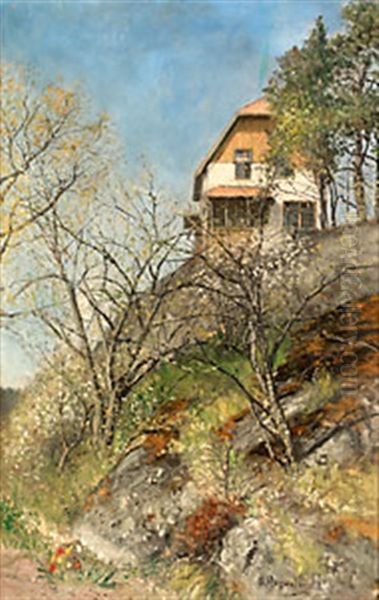 Sommardag - view 1