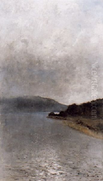 Sjolandskap I Soldis - Motiv Fran Langangen - view 1
