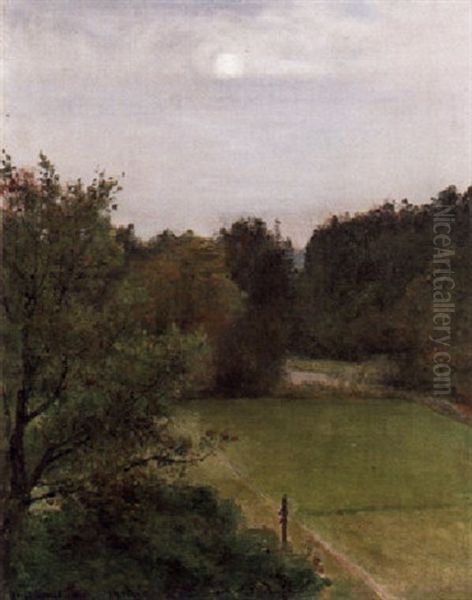 Skogslandskap - Sommar - view 1