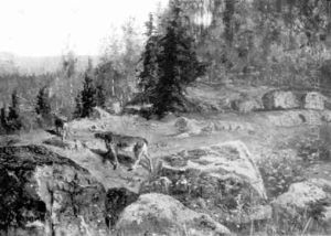 Moose In A Mountain Landscape by Olof Hermelin