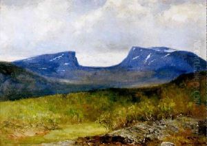 Lapporten by Olof Hermelin