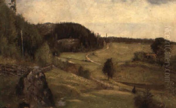 Vagen Till Vastermalma, Sormland - view 1