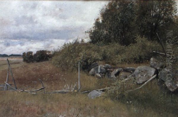 Mulen Sommardag - view 1