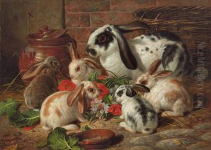 A Family Of Rabbits A Family Of Rabbits