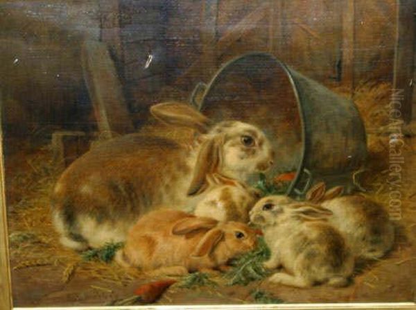Oil On Canvas. Rabbit Scene Signed Lower Left18 X 21 Inches - view 1