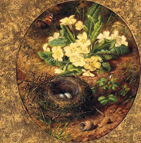 Primulas, A Snail's Shell, A Bird's Nest With Eggs And Abutterfly - view 1