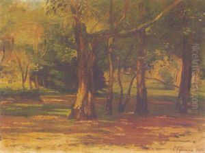 Luces Y Sombras by Carlos Maria Herrera