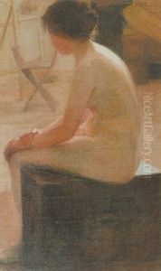 Modelo Femenino Desnudo Modelo Femenino Desnudo