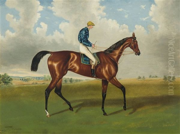 Hippia. Winner Of The Oaks - view 1