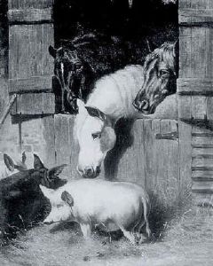 Farmyard Animals by Benjamin Herring Jr.