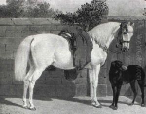 A Grey Horse And A Hunting Dog By A Garden Wall A Grey Horse And A Hunting Dog By A Garden Wall