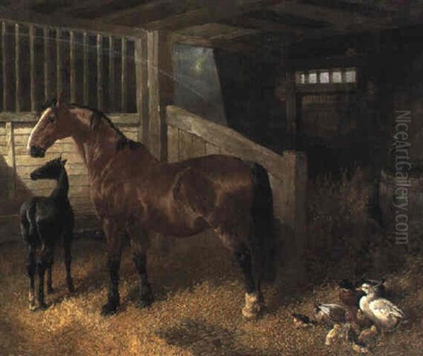 Horses And Ducks In A Barn - view 1