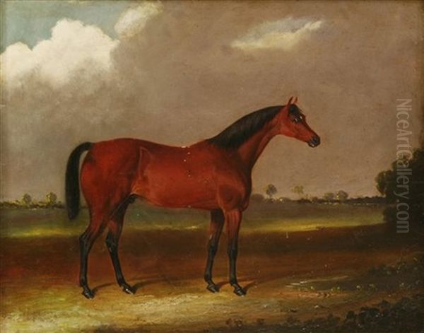 A Bay Hunter In A Landscape - view 1
