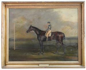 Lottery, A Dark Bay Racehorse, Winner Of The Doncaster Cup