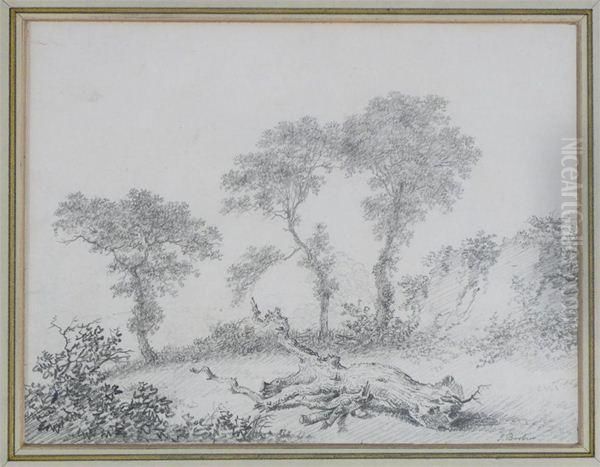 Three Trees In A Landscape - view 1