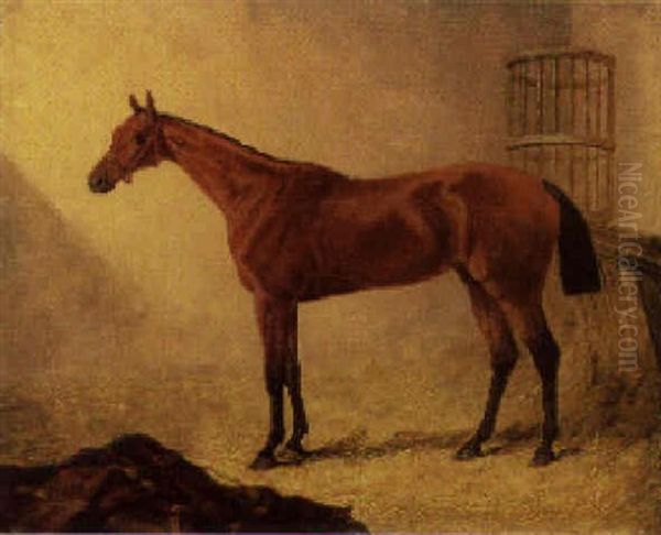 "matilda" In A Stable - view 1