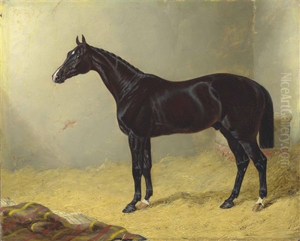 Launcelot In A Stable - view 1