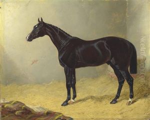 Launcelot In A Stable by John Frederick Herring
