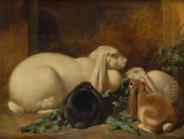 A Family Of Rabbits - view 1