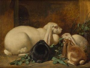 A Family Of Rabbits by John Frederick Herring