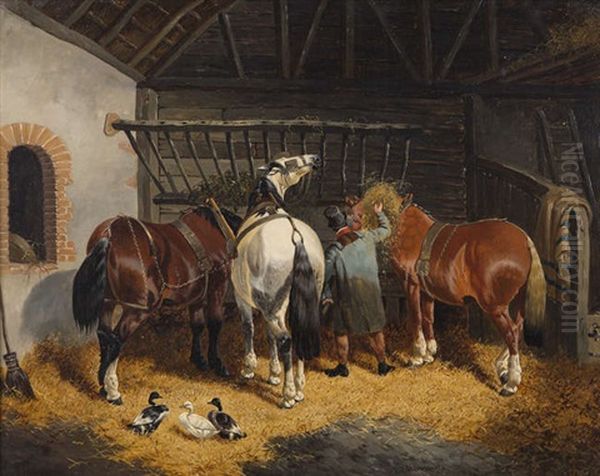 Feeding Time - view 1