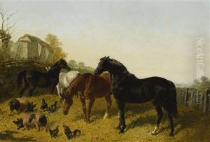 Horses And Chickens