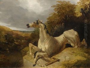 Study Of An Old Racehorse By A Pond