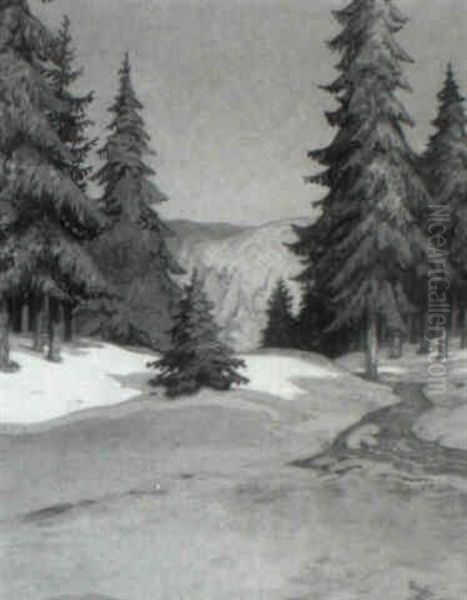 Schneeschmelze (sonnenbeschienene Waldlandschaft) - view 1