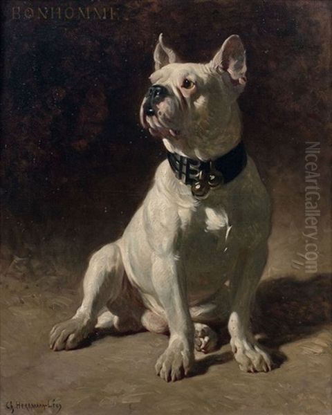 Portrait Du Bouledogue Bonhomme - view 1