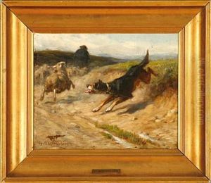 A Dog Chasing A Sheep
