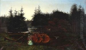 Forest Scene Forest Scene