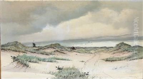The Beach At Rabjerg, Denmark - view 1