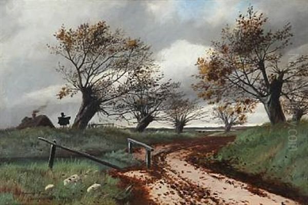 Autumn Landscape From Jyderup, Denmark - view 1