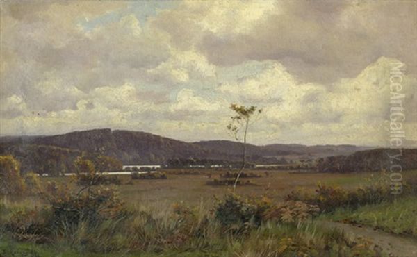 Herbstlandschaft Bei Silkeborg Im Danischen Midtjylland - view 1