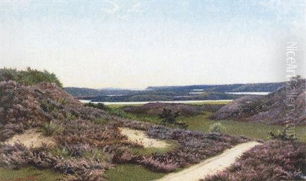 Lyngklaedte Bakker Ved Silkeborg - view 1