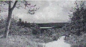 Parti Fra Knuden Ved Silkeborg