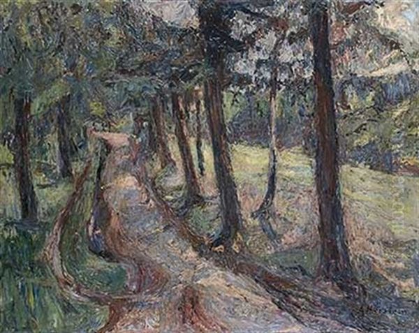 Schattiger Weg Am Waldesrand - view 1