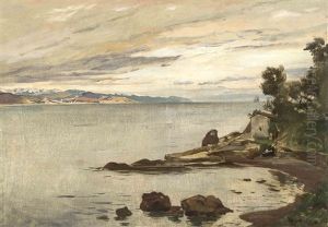 Seeuferlandschaft Seeuferlandschaft