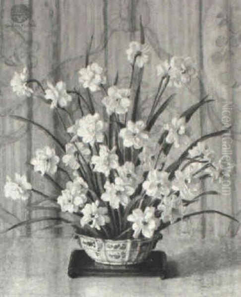 Narcissus - view 1
