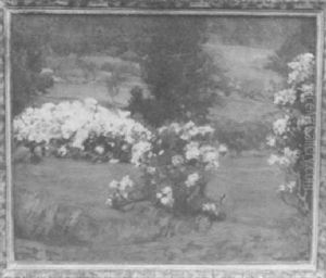 Blooming Flowers Blooming Flowers