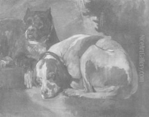 Zwei Hunde Zwei Hunde